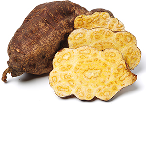 Polygonum Herbasol® Extract PG (PF)